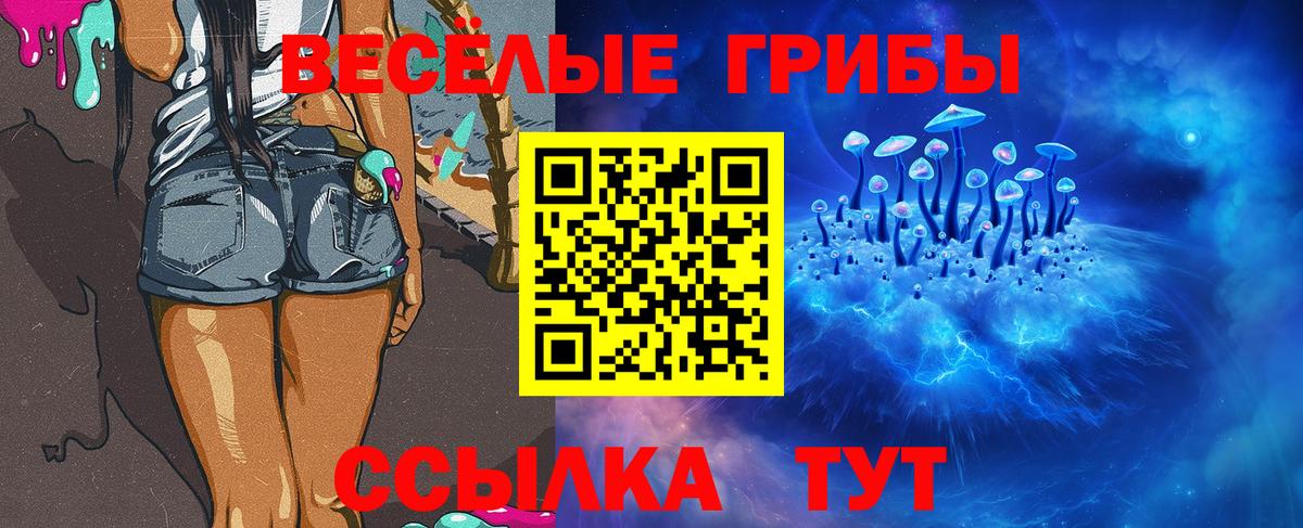 Псилоцибиновые грибы Magic Shrooms  Вход с VPN  Псилоцибиновые грибы MAGIC MUSHROOMS  Павлово 